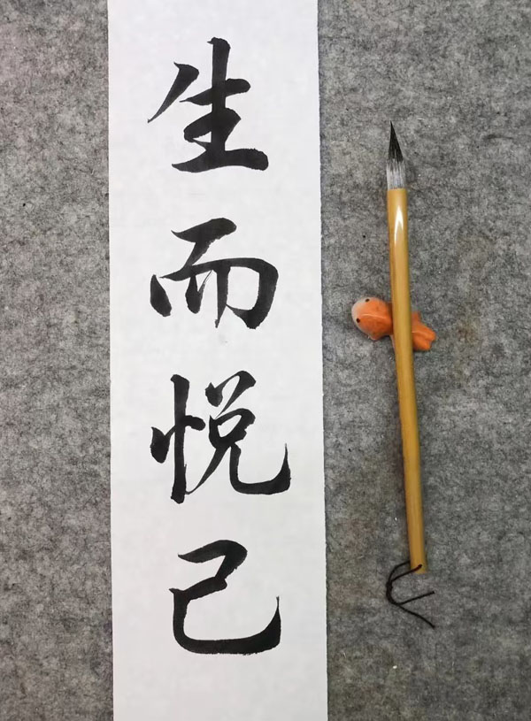 娱乐赛道做流量主10天挣了6295，一个很扎心的真相告诉你如何去挣到认知以外的钱！