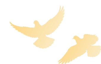 小红书卖ai女装带货提示词，每个月多挣1W+，赚翻了，不用写文章，一部手机就能做！